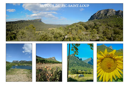 multi vues pic st loup