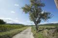claret chemin inconnue
